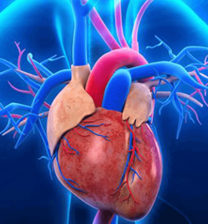 Kalp damar cerrahisi alanında yapılan işlemler
